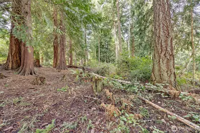 225 Belvedere Drive, Port Townsend, WA 98368 - Photo 1
