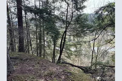 149 Xx 175th Avenue SE, Renton, WA 98059 - Photo 5