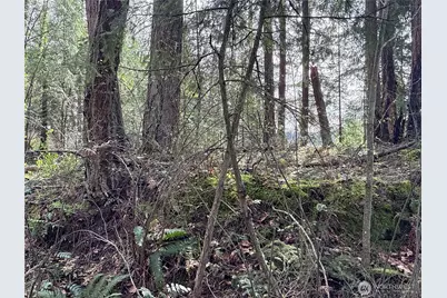 149 Xx 175th Avenue SE, Renton, WA 98059 - Photo 13