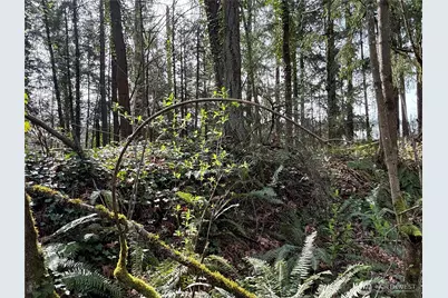 149 Xx 175th Avenue SE, Renton, WA 98059 - Photo 15