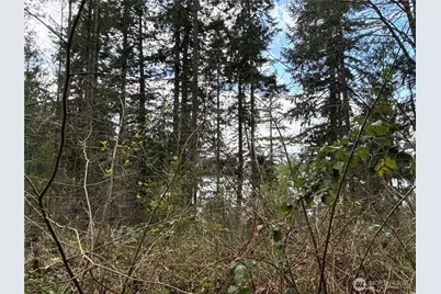 18243 SE Suncrest Court, Yelm, WA 98597 - Photo 7