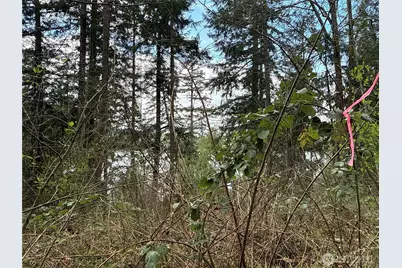 18243 SE Suncrest Court, Yelm, WA 98597 - Photo 5