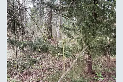 18243 SE Suncrest Court, Yelm, WA 98597 - Photo 9