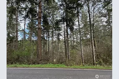 17636 E Clear Lake Boulevard SE, Yelm, WA 98597 - Photo 1
