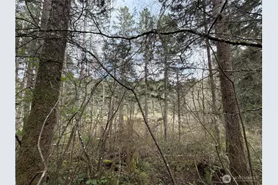 17636 E Clear Lake Boulevard SE, Yelm, WA 98597 - Photo 13