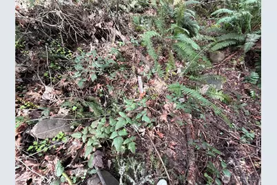 17636 E Clear Lake Boulevard SE, Yelm, WA 98597 - Photo 17