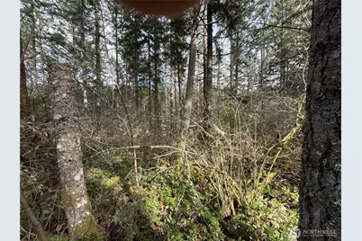 17636 E Clear Lake Boulevard SE, Yelm, WA 98597 - Photo 9