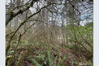 17636 E Clear Lake Boulevard SE, Yelm, WA 98597 - Photo 7