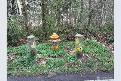 17636 E Clear Lake Boulevard SE, Yelm, WA 98597 - Photo 19