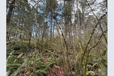 17636 E Clear Lake Boulevard SE, Yelm, WA 98597 - Photo 11