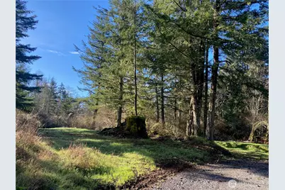 155 Dragonfly Drive, Orcas Island, WA 98279 - Photo 13