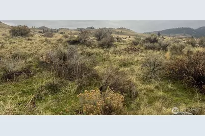 0 Lot 16 Pine Bluff Road, Oroville, WA 98844 - Photo 1