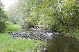 293935 Hwy 101, Quilcene, WA 98376 - Photo 39