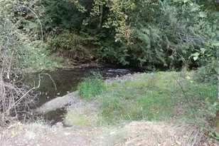 293935 Hwy 101, Quilcene, WA 98376 - Photo 5