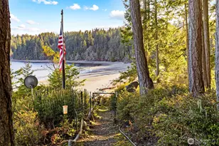 931 Whitney Rd, Quilcene, WA 98376 - Photo 29
