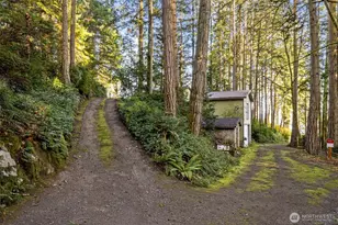 931 Whitney Rd, Quilcene, WA 98376 - Photo 33