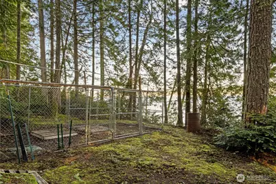 931 Whitney Road, Quilcene, WA 98376 - Photo 37