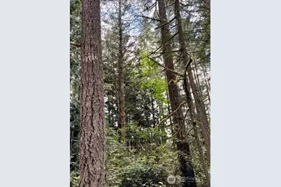 135 NW Walker Road, Poulsbo, WA 98370 - Photo 19