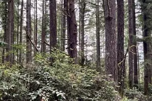 135 NW Walker Rd, Poulsbo, WA 98370 - Photo 21