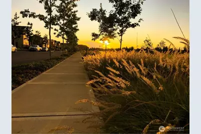 33874 Site 216 Calla Lilly Place SE, Black Diamond, WA 98010 - Photo 33