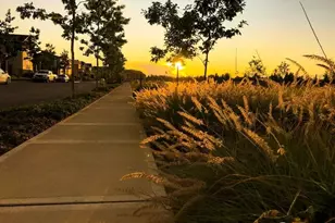 33874 Site 216 Calla Lilly Pl SE, Black Diamond, WA 98010 - Photo 33