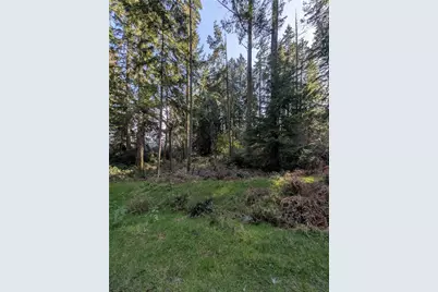 10325 Totem Way, Anderson Island, WA 98303 - Photo 3