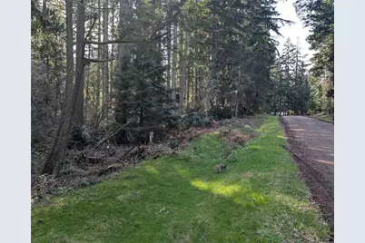 10325 Totem Way, Anderson Island, WA 98303 - Photo 1