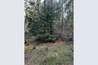 10325 Totem Way, Anderson Island, WA 98303 - Photo 5