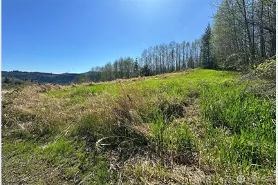 0 Elk Ridge Road, Mossyrock, WA 98564 - Photo 9