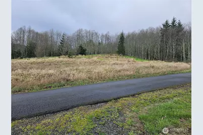 0 Elk Ridge Road, Mossyrock, WA 98564 - Photo 13