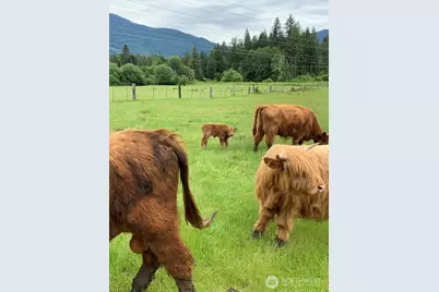 22750 State Road 530, Darrington, WA 98241 - Photo 35