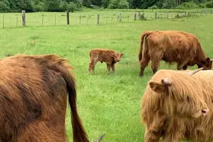 22750 State Road 530, Darrington, WA 98241 - Photo 35