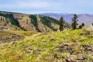 66 Coyote Ln, Waterville, WA 98843 - Photo 1