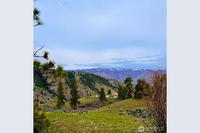 66 Coyote Lane, Waterville, WA 98843 - Photo 5