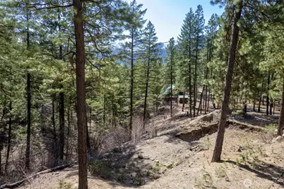 94 Homestead Road, Winthrop, WA 98862 - Photo 5