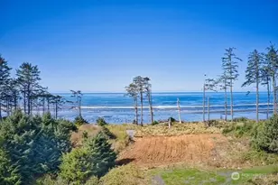 58 Chauncey Ln, Pacific Beach, WA 98571 - Photo 1