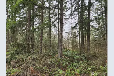 0 126th Avenue E, Graham, WA 98338 - Photo 5