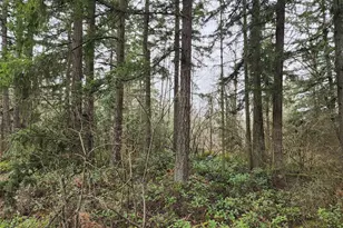 0 126th Ave E, Graham, WA 98338 - Photo 5