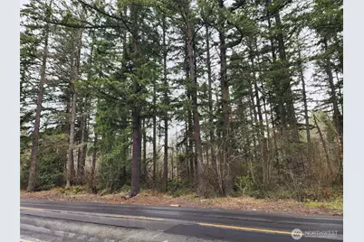 0 126th Avenue E, Graham, WA 98338 - Photo 3