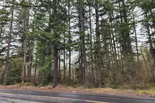 0 126th Ave E, Graham, WA 98338 - Photo 3