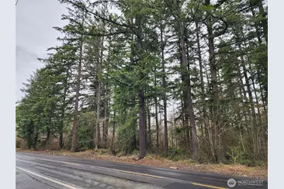 0 126th Avenue E, Graham, WA 98338 - Photo 1