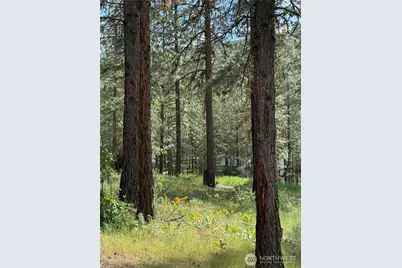 21 Twin Lakes Dr., Winthrop, WA 98862 - Photo 15