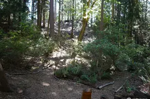 8042 Island Ct, Clinton, WA 98236 - Photo 1