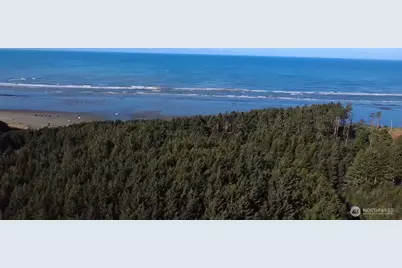 5 & 6 Roosevelt Beach Lots, Pacific Beach, WA 98571 - Photo 3