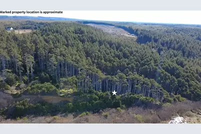 5 & 6 Roosevelt Beach Lots, Pacific Beach, WA 98571 - Photo 5