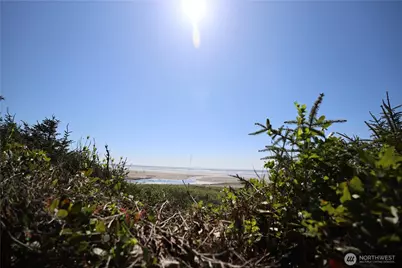 5 & 6 Roosevelt Beach Lots, Pacific Beach, WA 98571 - Photo 3