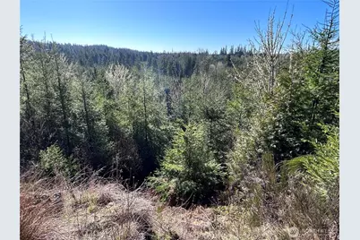0 Nka Salmon Creek Road, Toledo, WA 98591 - Photo 3