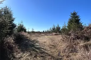 0 Nka Salmon Creek Rd, Toledo, WA 98591 - Photo 1
