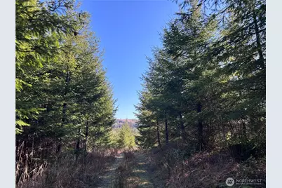 0 Nka Salmon Creek Road, Toledo, WA 98591 - Photo 7