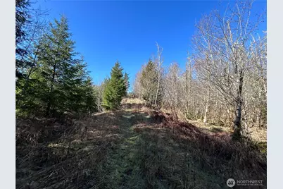 0 Nka Salmon Creek Road, Toledo, WA 98591 - Photo 9